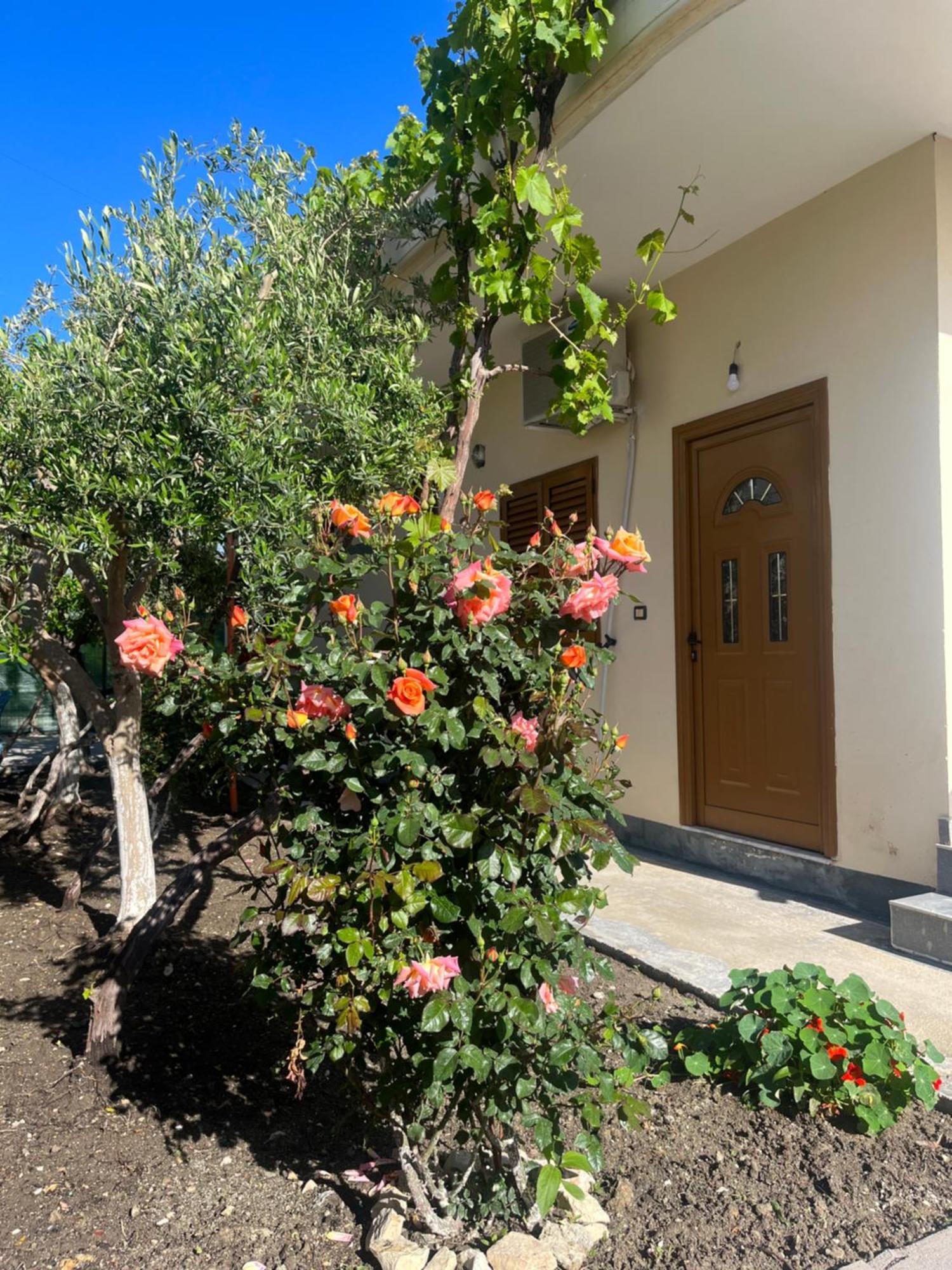 Blossom Apartments Vlorë 外观 照片