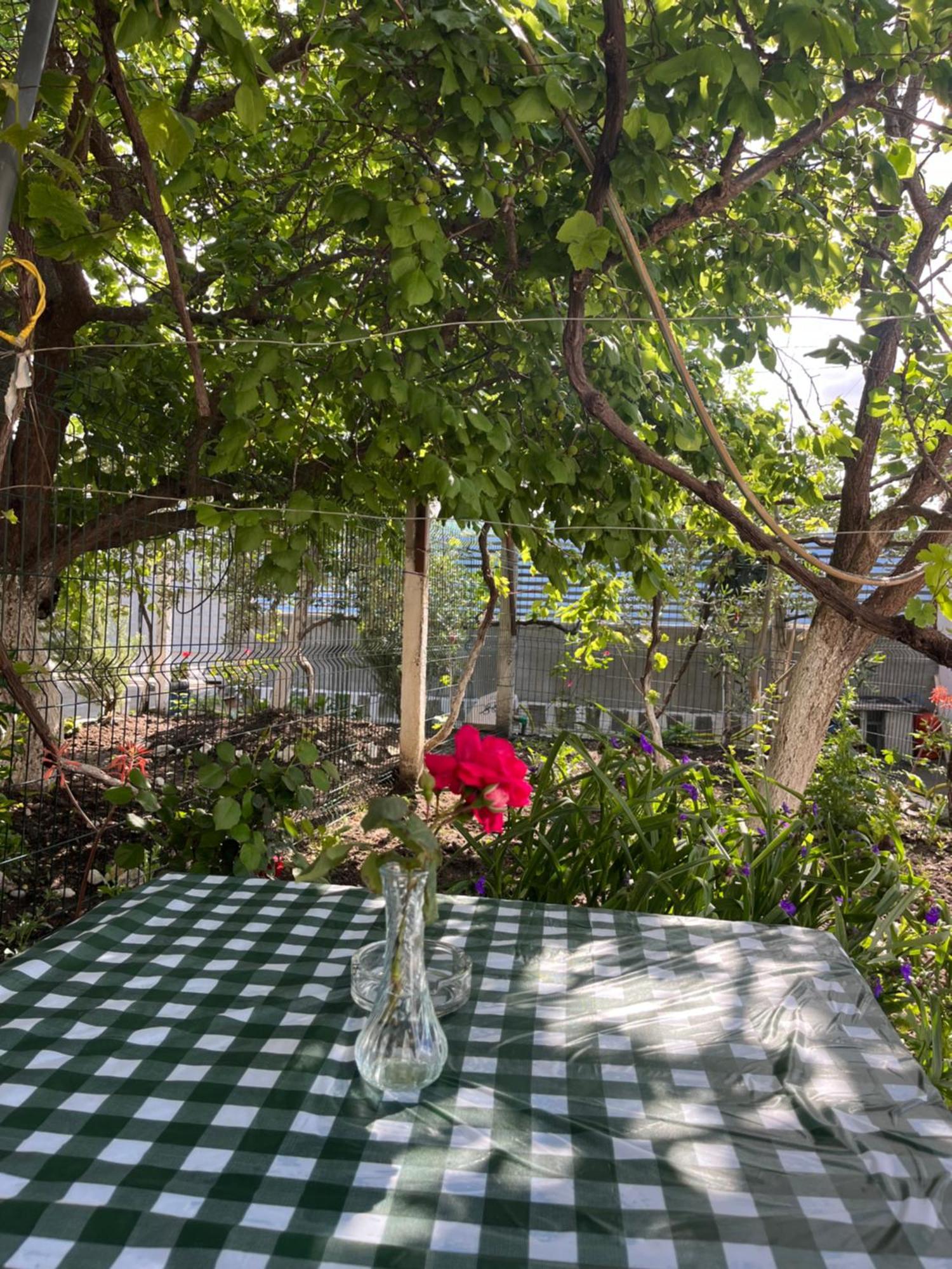 Blossom Apartments Vlorë 外观 照片