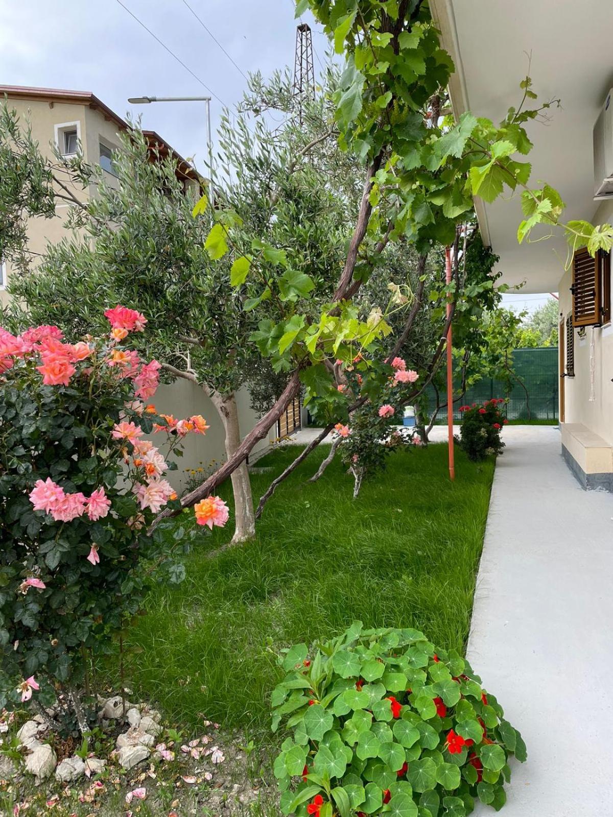 Blossom Apartments Vlorë 外观 照片